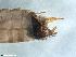  ( - ABOL-24-0333)  @11 [ ] Unspecified (default): All Rights Reserved (2024) Teufl Pia Unspecified