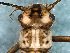  ( - ABOL-24-0344)  @11 [ ] Unspecified (default): All Rights Reserved (2024) Teufl Pia Unspecified