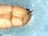  ( - ABOL-24-0396)  @11 [ ] Unspecified (default): All Rights Reserved (2024) Teufl Pia Unspecified
