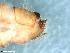  ( - ABOL-24-0405)  @11 [ ] Unspecified (default): All Rights Reserved (2024) Teufl Pia Unspecified