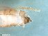  ( - ABOL-24-0420)  @11 [ ] Unspecified (default): All Rights Reserved (2024) Teufl Pia Unspecified