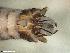  ( - ABOL-24-0431)  @11 [ ] Unspecified (default): All Rights Reserved (2024) Teufl Pia Unspecified