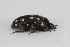  (Lanorus - ABOL-24-0764)  @11 [ ] Unspecified (default): All Rights Reserved (2024) Elisabeth Glatzhofer Unspecified