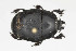  ( - ABOL-24-0780)  @11 [ ] Unspecified (default): All Rights Reserved (2024) Elisabeth Glatzhofer Unspecified