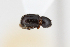  ( - ABOL-24-0784)  @11 [ ] Unspecified (default): All Rights Reserved (2024) Elisabeth Glatzhofer Unspecified