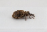  ( - ABOL-24-0791)  @11 [ ] Unspecified (default): All Rights Reserved (2024) Elisabeth Glatzhofer Unspecified