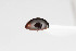  ( - ABOL-24-0823)  @11 [ ] Unspecified (default): All Rights Reserved (2024) Elisabeth Glatzhofer Unspecified