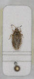  ( - ABOL-24-1149)  @11 [ ] Unspecified (default): All Rights Reserved (2024) Wolfgang Rabitsch Unspecified
