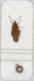  ( - ABOL-24-1217)  @11 [ ] Unspecified (default): All Rights Reserved (2024) Wolfgang Rabitsch Unspecified