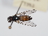  ( - ABOL-24-1252)  @11 [ ] Unspecified (default): All Rights Reserved (2024) Naturhistorisches Museum Wien Naturhistorisches Museum Wien