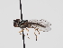  ( - ABOL-24-1252)  @11 [ ] Unspecified (default): All Rights Reserved (2024) Naturhistorisches Museum Wien Naturhistorisches Museum Wien