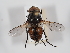  ( - ABOL-24-1277)  @11 [ ] Unspecified (default): All Rights Reserved (2024) Naturhistorisches Museum Wien Naturhistorisches Museum Wien