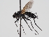  ( - ABOL-24-1285)  @11 [ ] Unspecified (default): All Rights Reserved (2024) Naturhistorisches Museum Wien Naturhistorisches Museum Wien