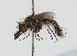  ( - ABOL-24-1300)  @11 [ ] Unspecified (default): All Rights Reserved (2024) Naturhistorisches Museum Wien Naturhistorisches Museum Wien