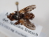  ( - ABOL-24-1302)  @11 [ ] Unspecified (default): All Rights Reserved (2024) Naturhistorisches Museum Wien Naturhistorisches Museum Wien