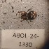  ( - ABOL-24-1330)  @11 [ ] Unspecified (default): All Rights Reserved (2025) Johannes Schall Unspecified
