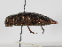  ( - ABOL-24-1742)  @11 [ ] CC-BY (2024) Naturhistorisches Museum Wien Naturhistorisches Museum Wien