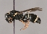  ( - ABOL-24-1953)  @11 [ ] Unspecified (default): All Rights Reserved (2024) Oberösterreichisches Landesmuseum (OLML) Unspecified