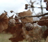  ( - ABOL-24-2107)  @11 [ ] Unspecified (default): All Rights Reserved (2023) Alexander Mrkvicka Unspecified
