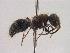  ( - ABOL-24-2122)  @11 [ ] Unspecified (default): All Rights Reserved (2024) Tobias Geiler Unspecified