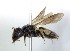  ( - ABOL-25-0001)  @11 [ ] Unspecified (default): All Rights Reserved (2025) Naturhistorisches Museum Wien Unspecified