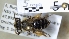  ( - ABOL-25-0007)  @11 [ ] Unspecified (default): All Rights Reserved (2025) Naturhistorisches Museum Wien Unspecified