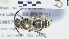  ( - ABOL-25-0044)  @11 [ ] Unspecified (default): All Rights Reserved (2025) Naturhistorisches Museum Wien Unspecified