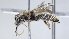  ( - ABOL-25-0045)  @11 [ ] Unspecified (default): All Rights Reserved (2025) Naturhistorisches Museum Wien Unspecified