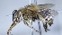  ( - ABOL-25-0047)  @11 [ ] Unspecified (default): All Rights Reserved (2025) Naturhistorisches Museum Wien Unspecified