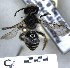  ( - ABOL-25-0085)  @11 [ ] Unspecified (default): All Rights Reserved (2025) Naturhistorisches Museum Wien Unspecified