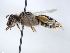  ( - ABOL-25-0086)  @11 [ ] Unspecified (default): All Rights Reserved (2025) Naturhistorisches Museum Wien Unspecified