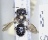  ( - ABOL-25-0124)  @11 [ ] Unspecified (default): All Rights Reserved (2025) Naturhistorisches Museum Wien Unspecified