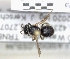 ( - ABOL-25-0131)  @11 [ ] Unspecified (default): All Rights Reserved (2025) Naturhistorisches Museum Wien Unspecified