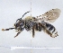  ( - ABOL-25-0133)  @11 [ ] Unspecified (default): All Rights Reserved (2025) Naturhistorisches Museum Wien Unspecified