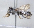  ( - ABOL-25-0135)  @11 [ ] Unspecified (default): All Rights Reserved (2025) Naturhistorisches Museum Wien Unspecified