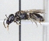  ( - ABOL-25-0137)  @11 [ ] Unspecified (default): All Rights Reserved (2025) Naturhistorisches Museum Wien Unspecified