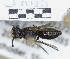  ( - ABOL-25-0143)  @11 [ ] Unspecified (default): All Rights Reserved (2025) Naturhistorisches Museum Wien Unspecified