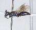  ( - ABOL-25-0143)  @11 [ ] Unspecified (default): All Rights Reserved (2025) Naturhistorisches Museum Wien Unspecified