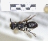  ( - ABOL-25-0152)  @11 [ ] Unspecified (default): All Rights Reserved (2025) Naturhistorisches Museum Wien Unspecified