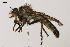  ( - ABOL-25-1094)  @11 [ ] CC-BY (2025) Naturhistorisches Museum Wien Unspecified