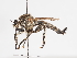  ( - ABOL-25-1137)  @11 [ ] CC-BY (2025) Naturhistorisches Museum Wien Unspecified