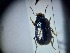  ( - ABOL-BIOBLITZ23-DR001)  @11 [ ] Unspecified (default): All Rights Reserved (2024) Dominik Rabl Unspecified