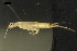  ( - ABOL-BioBlitz-2023-IC-Szucsich-0002)  @11 [ ] Unspecified (default): All Rights Reserved (2023) Natural history museum Vienna Unspecified