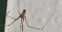  ( - ABOL-BioBlitz-2023-Szucsich-0021)  @11 [ ] Unspecified (default): All Rights Reserved (2024) Nikola Szucsich Unspecified