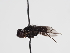  ( - ABOL-Tettris-2024-Szucsich-LeoBg-0010)  @11 [ ] Unspecified (default): All Rights Reserved (2025) Naturhistorisches Museum Wien Unspecified
