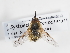  ( - ABOL-Tettris-2024-Szucsich-LeoBg-0013)  @11 [ ] Unspecified (default): All Rights Reserved (2025) Naturhistorisches Museum Wien Unspecified