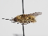  ( - ABOL-Tettris-2024-Szucsich-LeoBg-0013)  @11 [ ] Unspecified (default): All Rights Reserved (2025) Naturhistorisches Museum Wien Unspecified