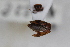  ( - ABOL-24-0931)  @11 [ ] Unspecified (default): All Rights Reserved (2024) Sebastian Ploner Unspecified