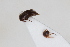  ( - ABOL-24-0936)  @11 [ ] Unspecified (default): All Rights Reserved (2024) Sebastian Ploner Unspecified