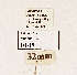  ( - NHMW2.Lep.0145)  @11 [ ] Unspecified (default): All Rights Reserved (2025) P. Huemer Unspecified